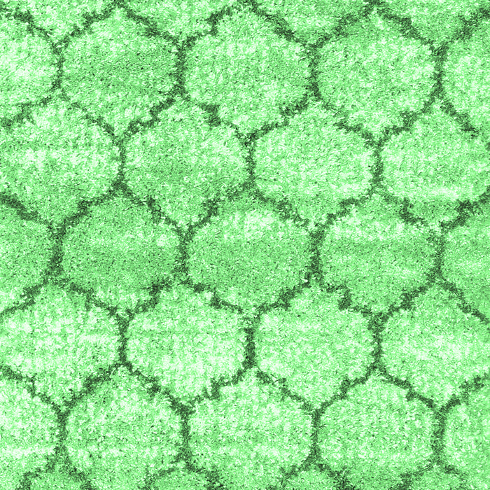 Trellis Emerald Green Modern Rug, con3027emgrn