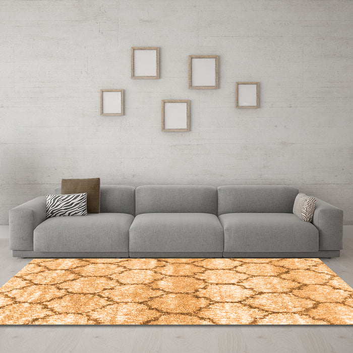 Machine Washable Trellis Orange Modern Area Rugs in a Living Room, wshcon3027org