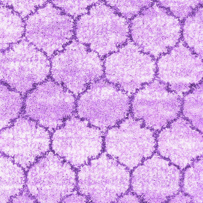 Machine Washable Trellis Purple Modern Area Rugs, wshcon3027pur