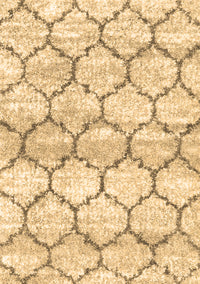 Trellis Brown Modern Rug, con3027brn