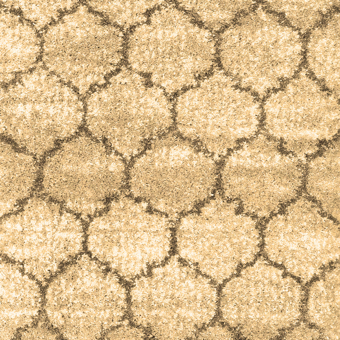 Trellis Brown Modern Rug, con3027brn