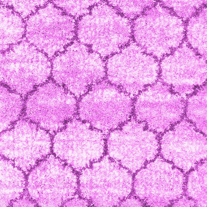 Machine Washable Trellis Pink Modern Rug, wshcon3027pnk