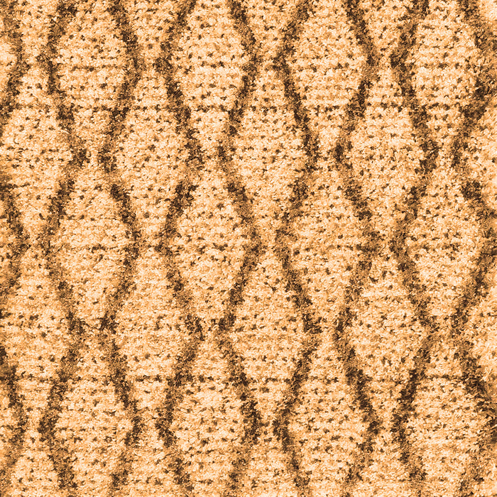 Trellis Orange Modern Rug, con3028org