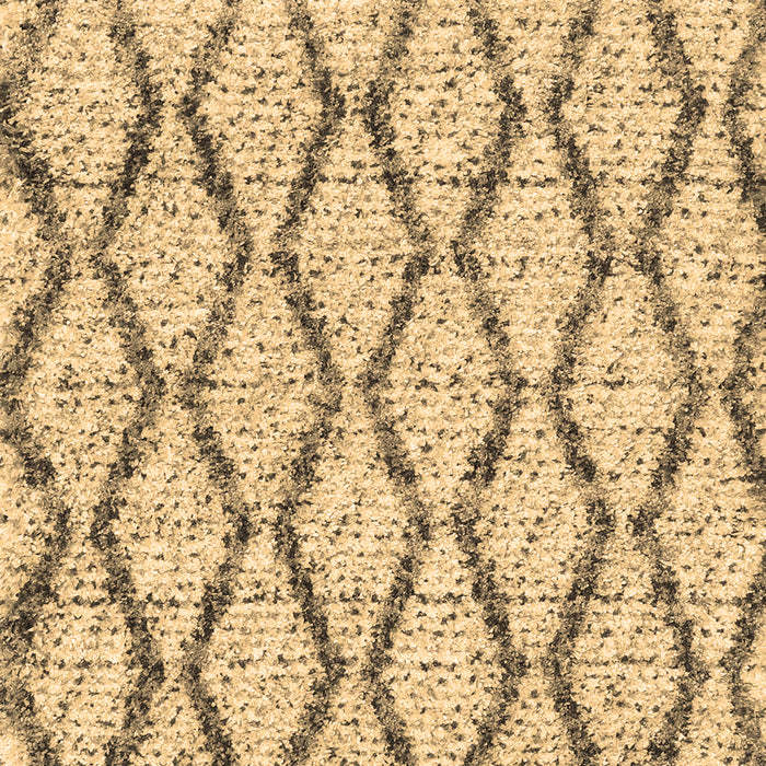 Machine Washable Trellis Brown Modern Rug, wshcon3028brn