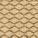 Square Machine Washable Trellis Brown Modern Rug, wshcon3028brn