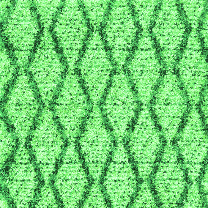 Trellis Green Modern Rug, con3028grn