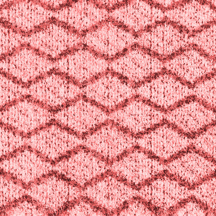 Machine Washable Trellis Red Modern Rug, wshcon3028red