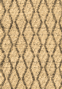 Trellis Brown Modern Rug, con3028brn