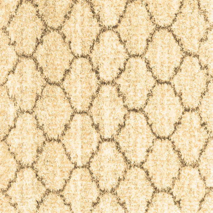 Square Machine Washable Terrilis Brown Contemporary Rug, wshcon3029brn