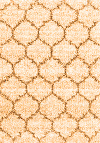 Terrilis Orange Contemporary Rug, con3029org