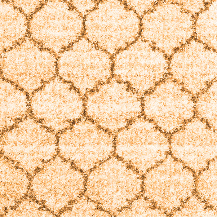 Serging Thickness of Machine Washable Terrilis Orange Contemporary Area Rugs, wshcon3029org