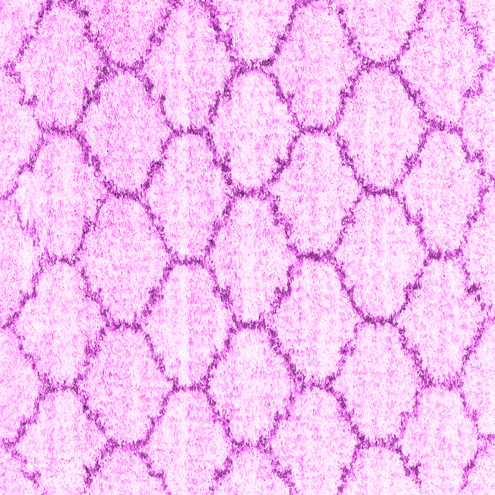 Square Machine Washable Terrilis Pink Contemporary Rug, wshcon3029pnk