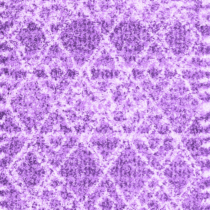 Machine Washable Trellis Purple Modern Area Rugs, wshcon3030pur