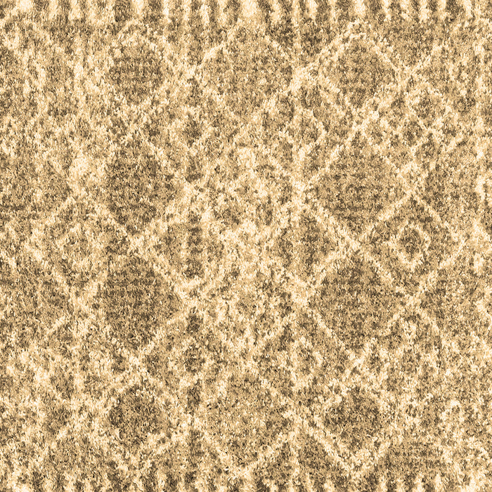 Square Trellis Brown Modern Rug, con3030brn