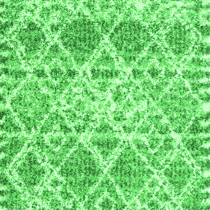 Trellis Green Modern Rug, con3030grn