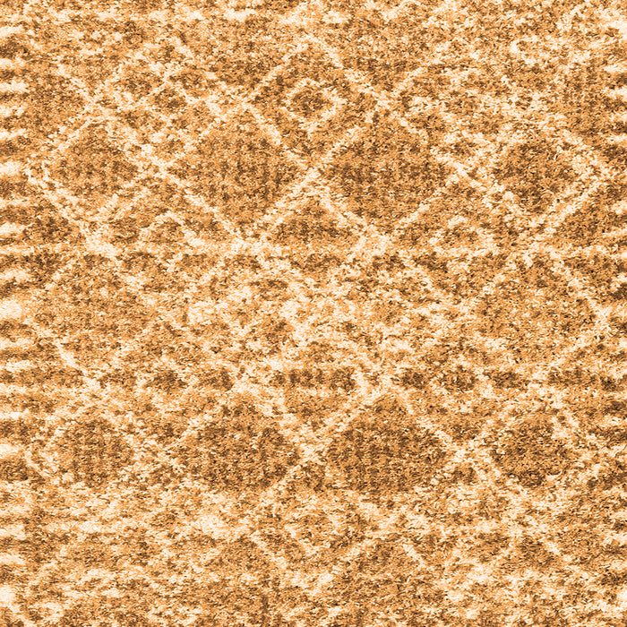 Serging Thickness of Trellis Orange Modern Rug, con3030org