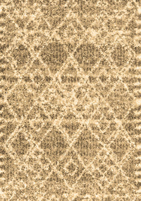 Trellis Brown Modern Rug, con3030brn