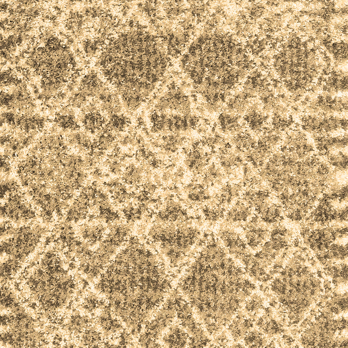 Machine Washable Trellis Brown Modern Rug, wshcon3030brn