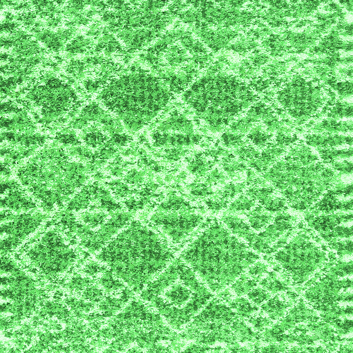 Round Machine Washable Trellis Green Modern Area Rugs, wshcon3030grn