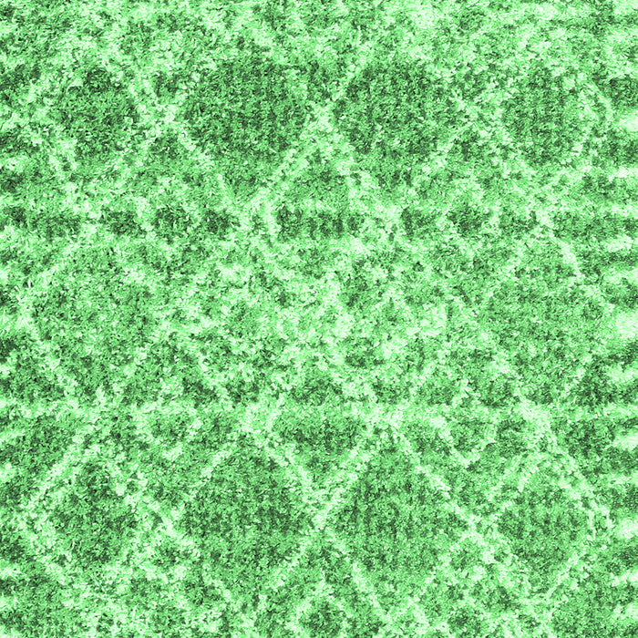 Trellis Emerald Green Modern Rug, con3030emgrn