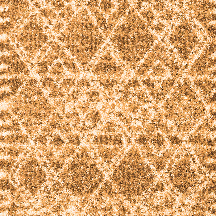 Trellis Orange Modern Rug, con3030org