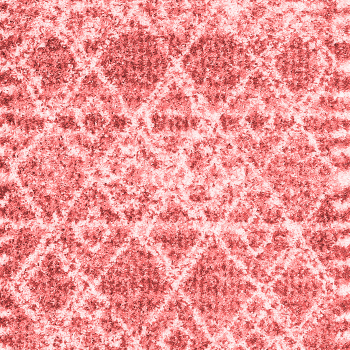 Machine Washable Trellis Red Modern Rug, wshcon3030red