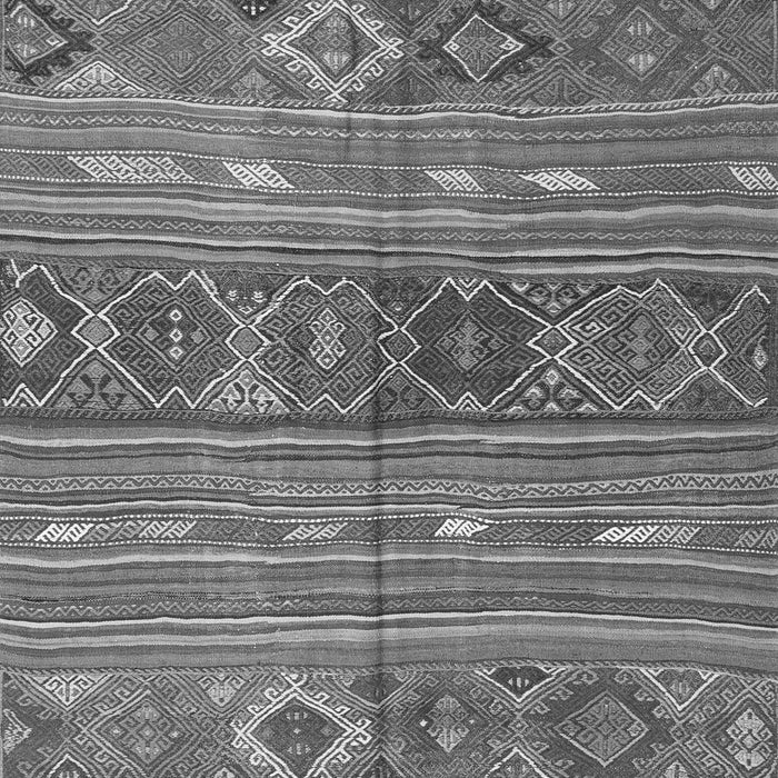 Oriental Gray Traditional Rug, con3031gry