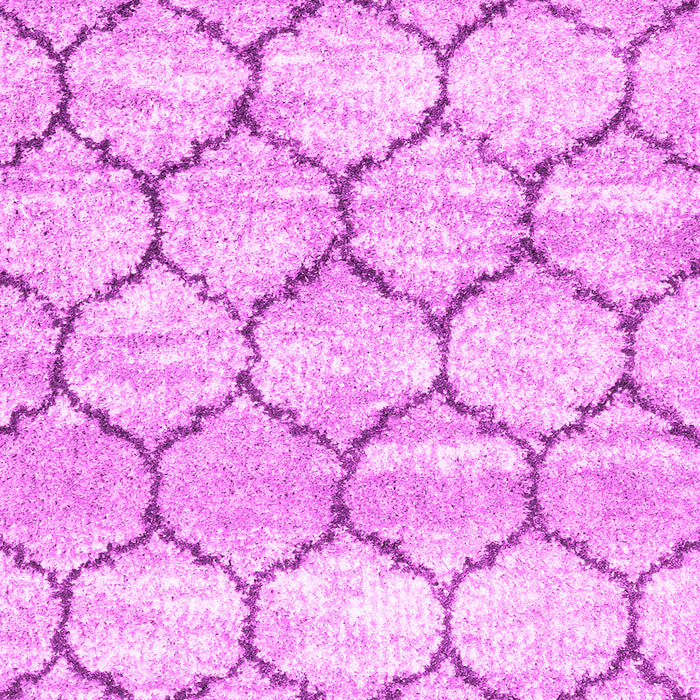 Trellis Pink Modern Rug, con3032pnk