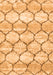 Trellis Orange Modern Rug, con3032org