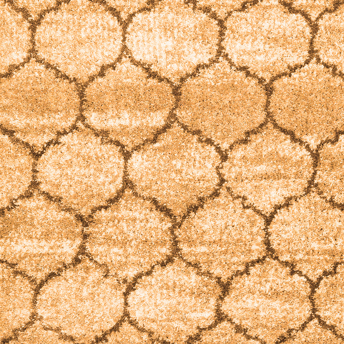Trellis Orange Modern Rug, con3032org