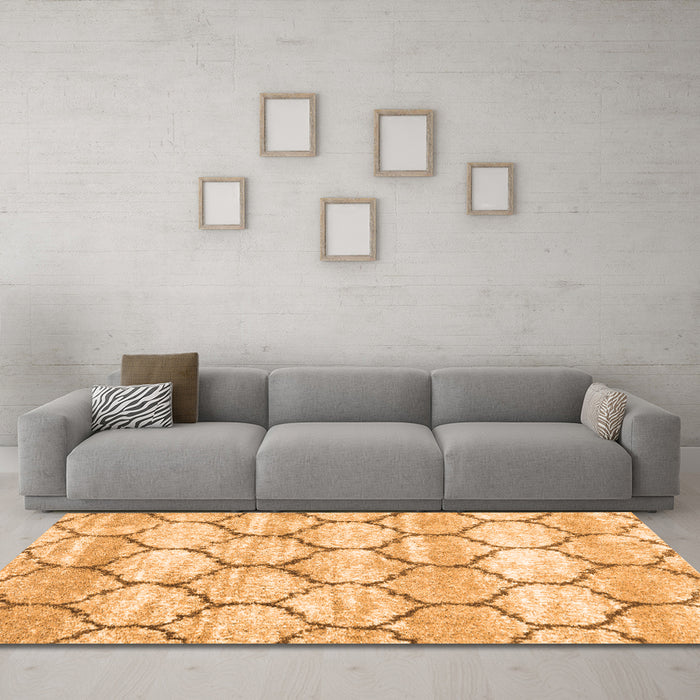 Machine Washable Trellis Orange Modern Area Rugs in a Living Room, wshcon3032org