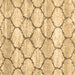 Square Trellis Brown Modern Rug, con3032brn