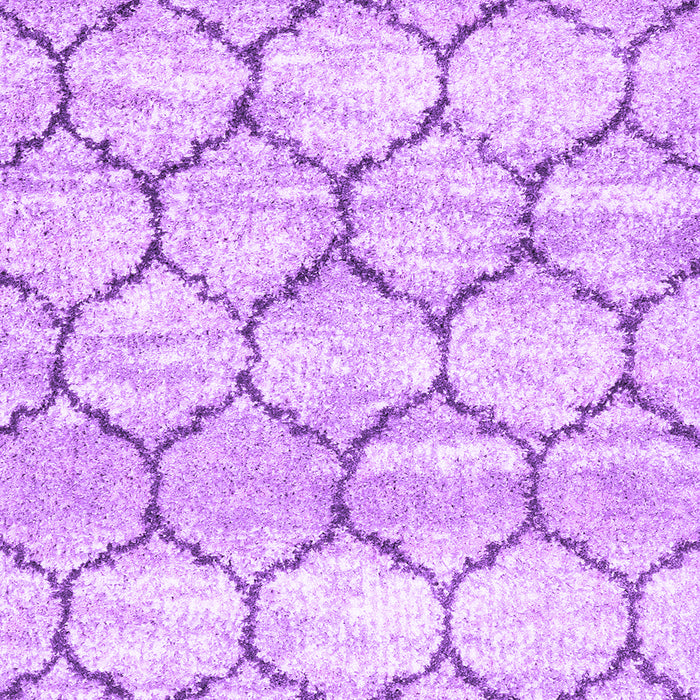 Machine Washable Trellis Purple Modern Area Rugs, wshcon3032pur