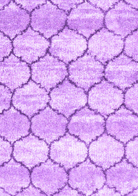 Trellis Purple Modern Rug, con3032pur