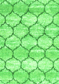 Trellis Green Modern Rug, con3032grn