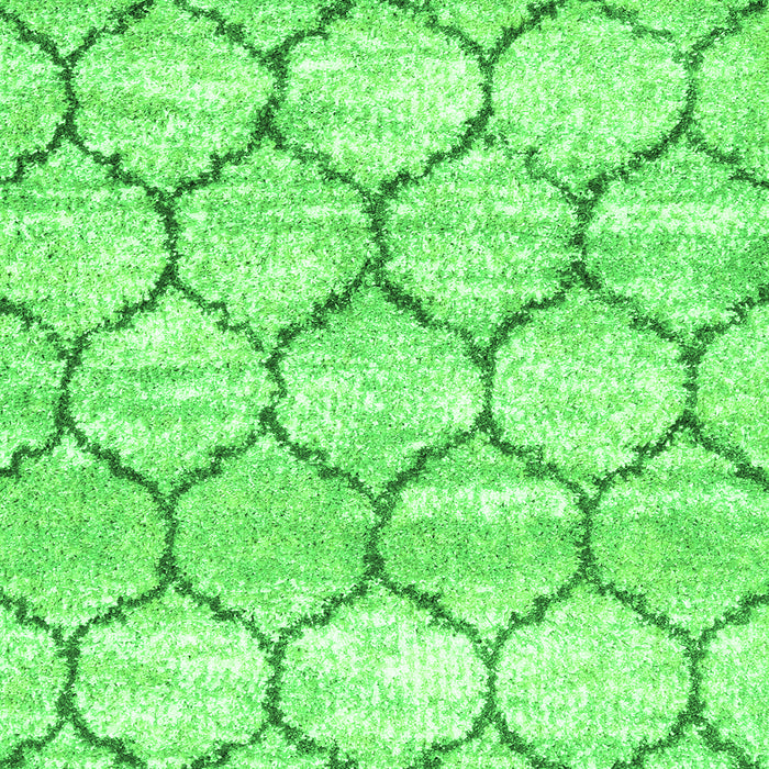 Trellis Green Modern Rug, con3032grn