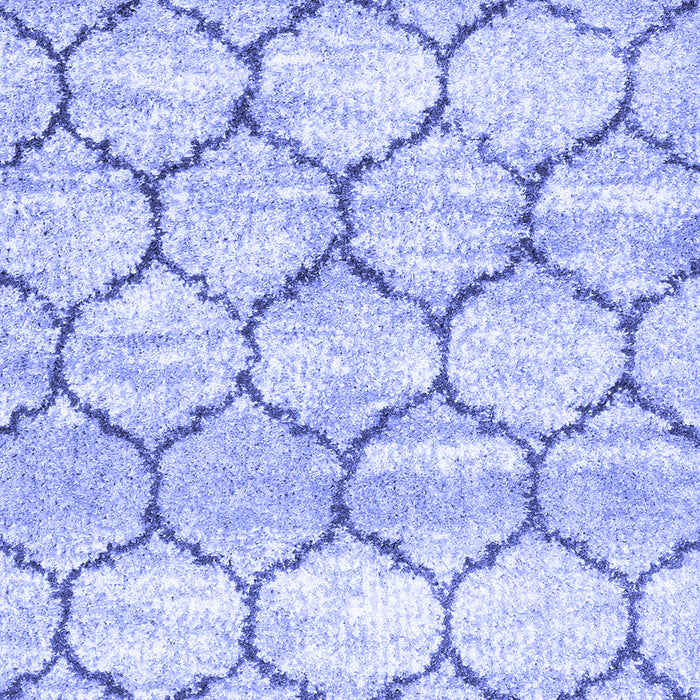 Machine Washable Trellis Blue Modern Rug, wshcon3032blu