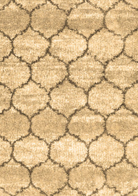 Trellis Brown Modern Rug, con3032brn