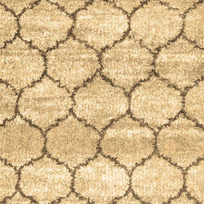 Trellis Brown Modern Rug, con3032brn