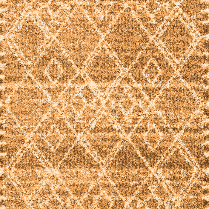 Serging Thickness of Machine Washable Trellis Orange Modern Area Rugs, wshcon3033org