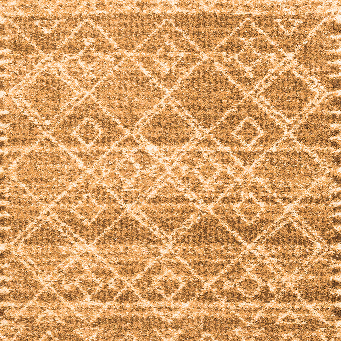 Serging Thickness of Trellis Orange Modern Rug, con3033org