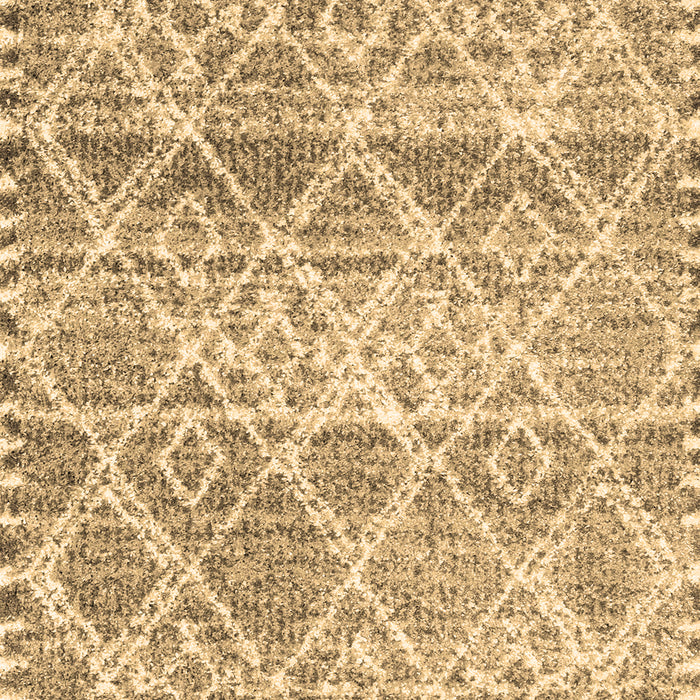 Trellis Brown Modern Rug, con3033brn