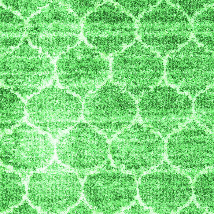 Serging Thickness of Machine Washable CON3035X Green CON3035X Area Rugs, wshcon3035grn