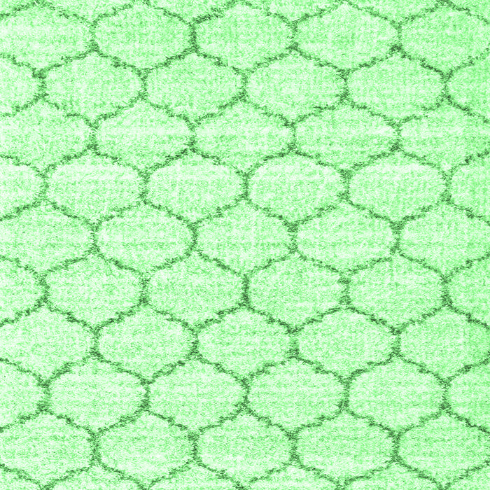 Square Machine Washable Terrilis Emerald Green Contemporary Area Rugs, wshcon3039emgrn