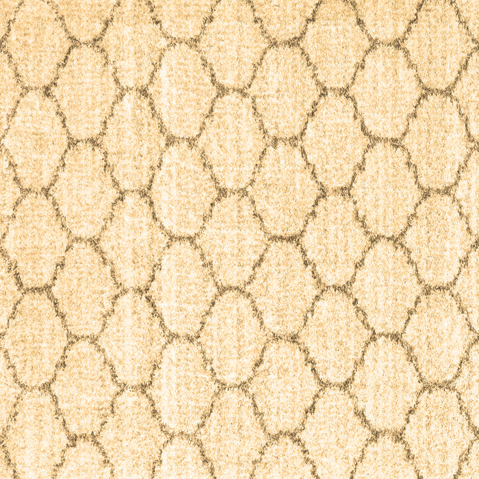 Square Terrilis Brown Contemporary Rug, con3039brn