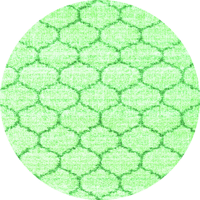 Square Terrilis Green Contemporary Rug, con3039grn