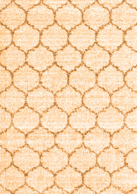 Terrilis Orange Contemporary Rug, con3039org