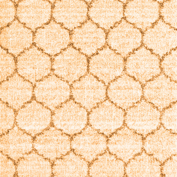 Terrilis Orange Contemporary Rug, con3039org