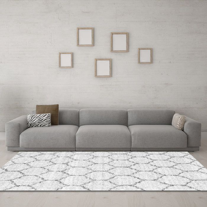 Machine Washable Terrilis Gray Contemporary Rug in a Living Room,, wshcon3039gry