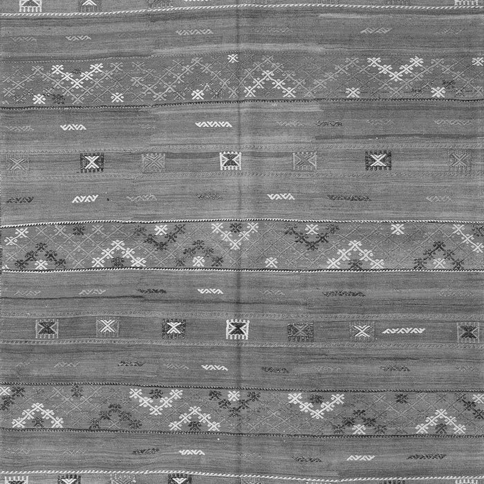 Oriental Gray Traditional Rug, con3042gry